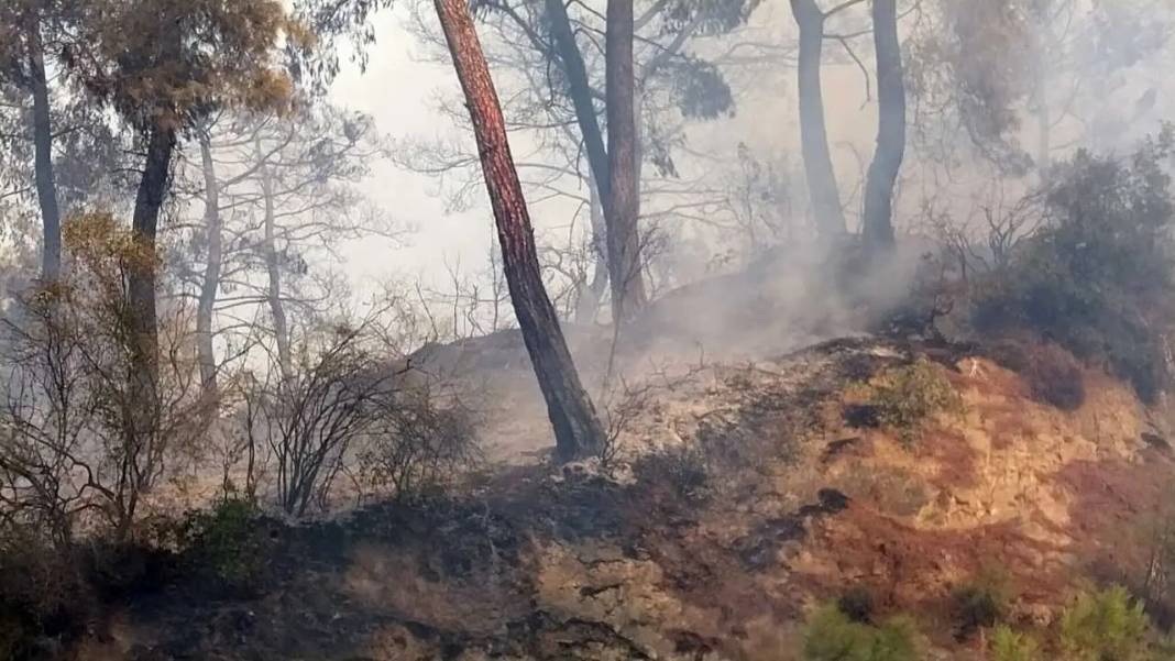 Manavgat’ta Korkutan Yangın Kontrol Altına Alındı! 1